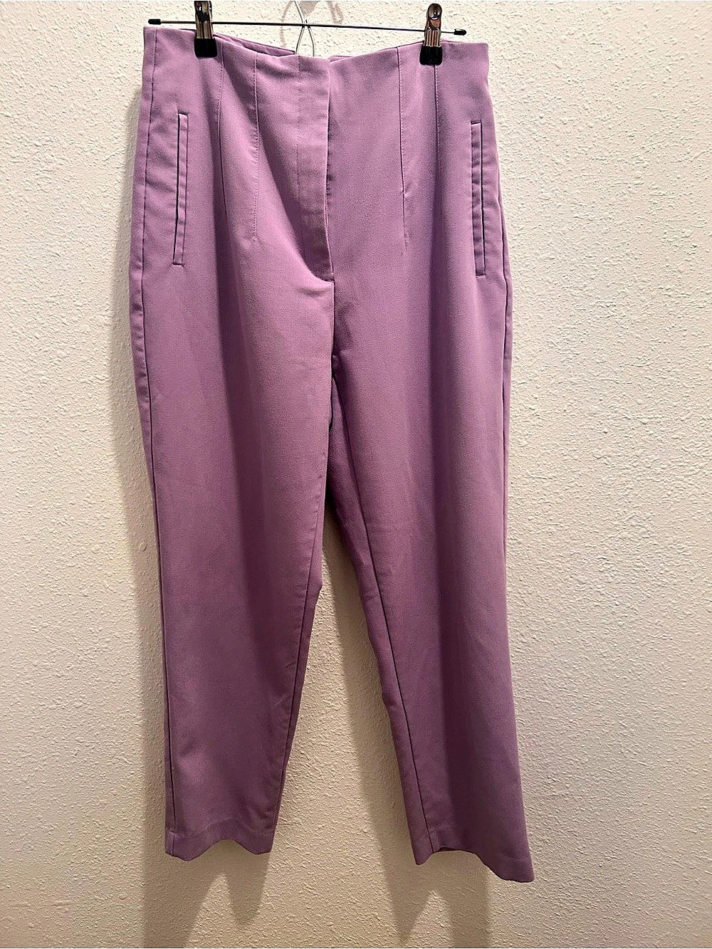 Zara Pants Purple US large
